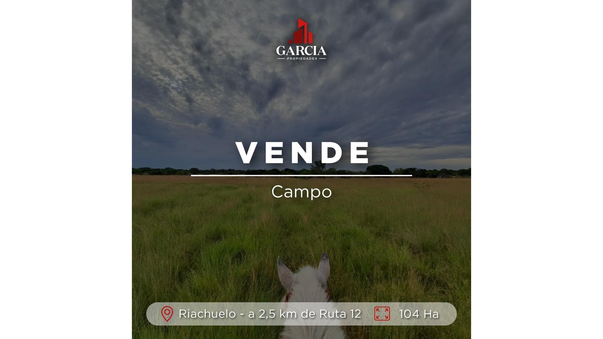 Campo riachuelo